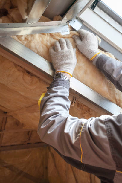 Best Energy Efficiency Solutions in The Colony, TX