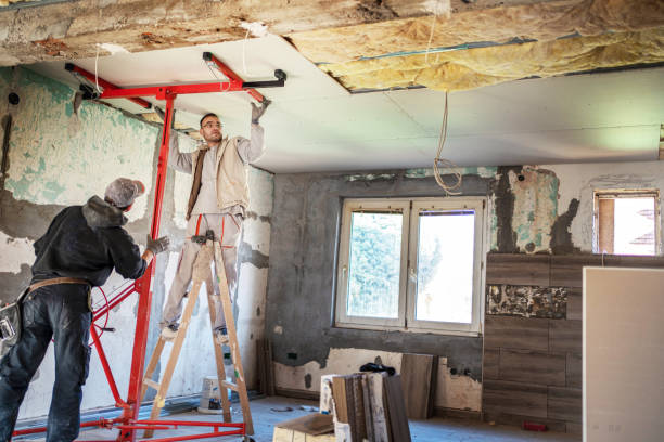 Best Types of Insulation in The Colony, TX