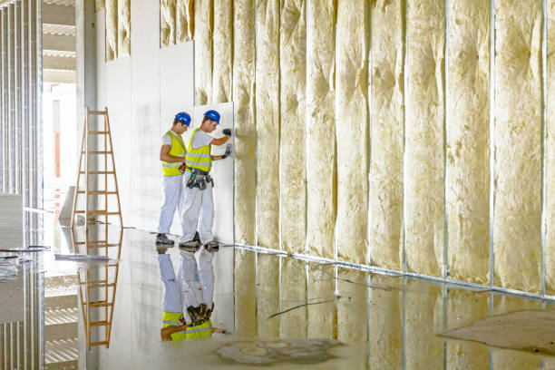 Best Specialty Insulation in The Colony, TX